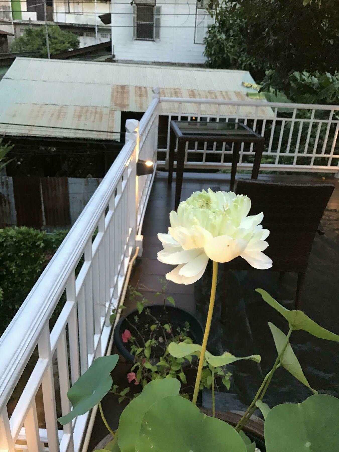Baankachitpan Bangkok Hotel Luaran gambar
